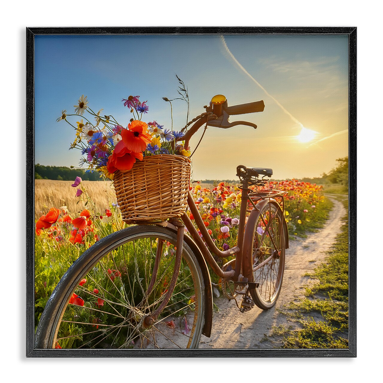 Stupell Industries Flower Stop Bicycle Framed Giclee Wall Art Design by Alina Georgescu